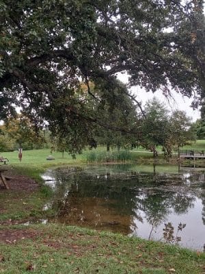 Purcell Park