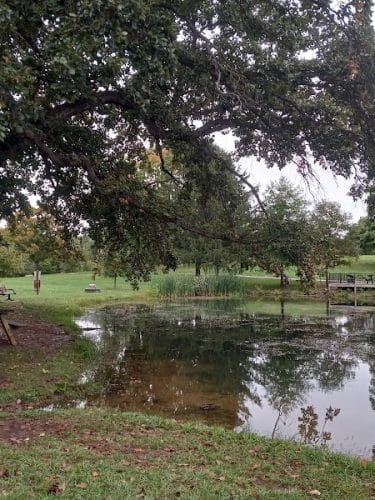 Purcell Park