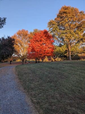 Purcell Park