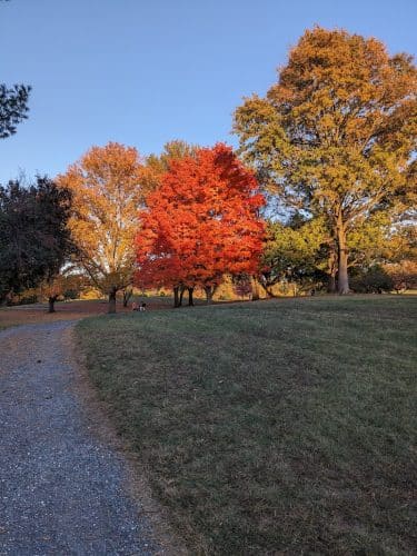 Purcell Park
