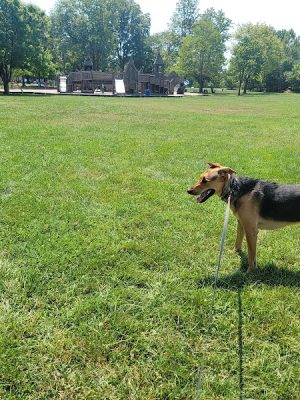 Purcell Park