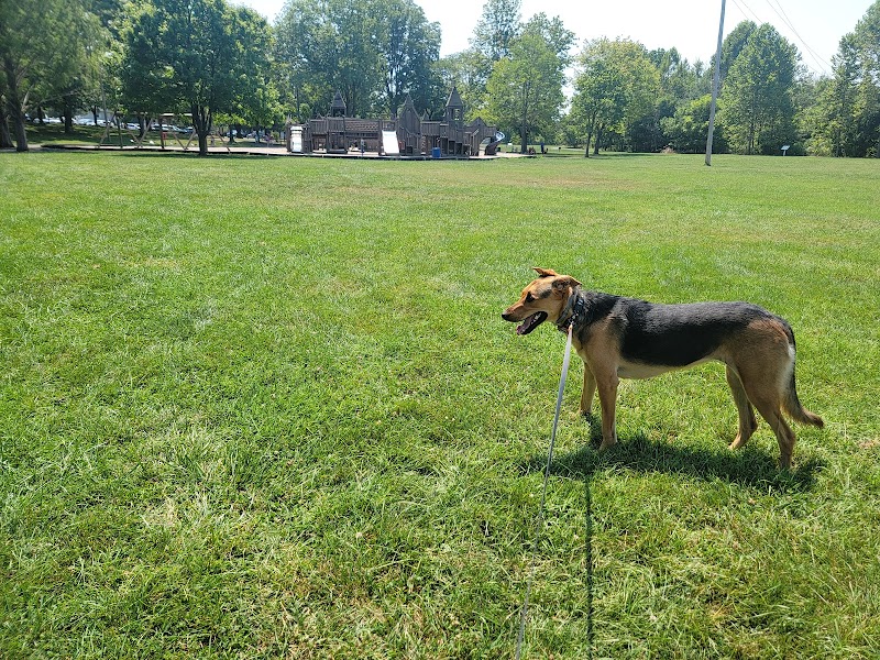 Purcell Park - Harrisonburg, VA