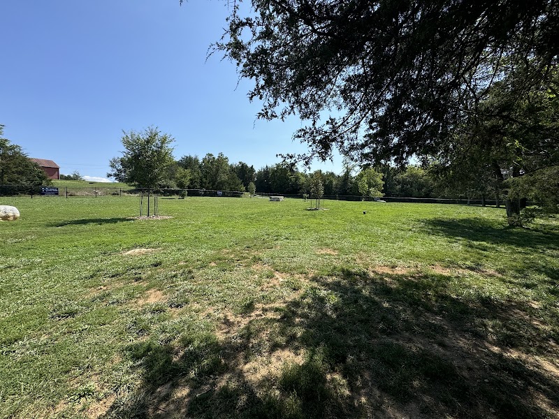 harrisonburg-virginia-smithland-road-dog-park-1