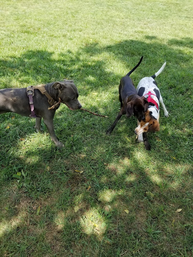 harrisonburg-virginia-smithland-road-dog-park-10