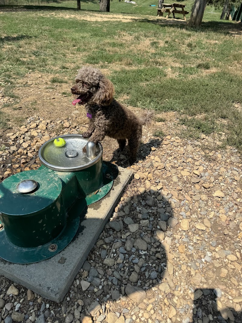 harrisonburg-virginia-smithland-road-dog-park-3