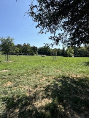 Smithland Road Dog Park