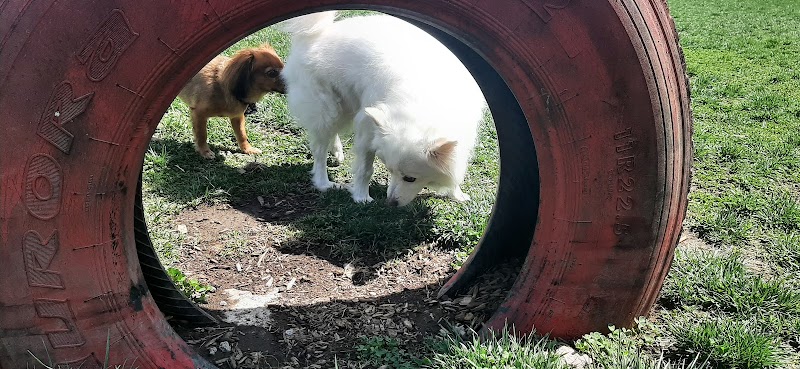 harrisonburg-virginia-smithland-road-dog-park-8