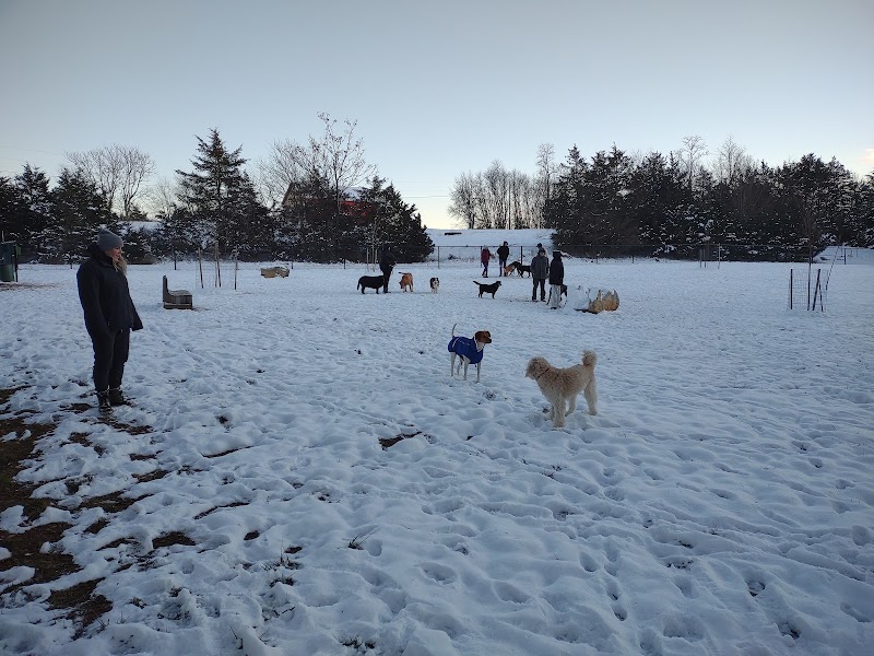 harrisonburg-virginia-smithland-road-dog-park-9
