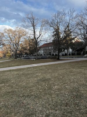 The Quad