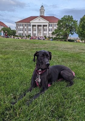 The Quad
