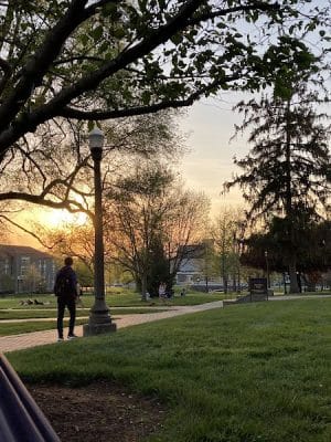 The Quad
