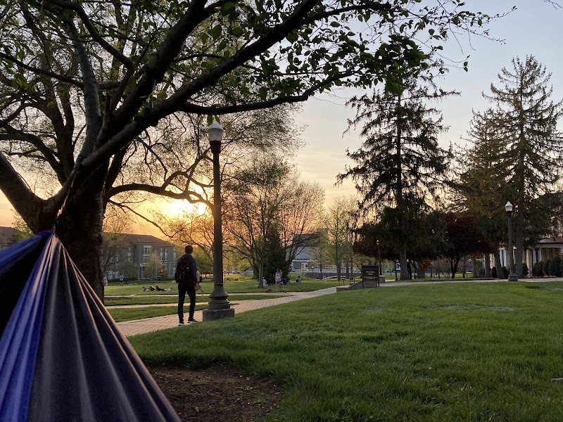 The Quad - Harrisonburg, VA