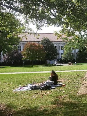 The Quad