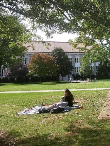 The Quad