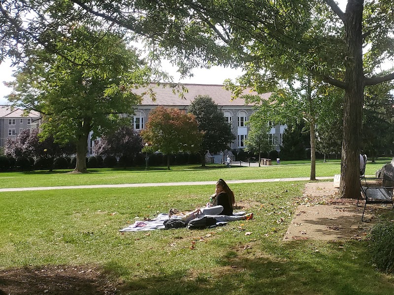 The Quad - Harrisonburg, VA