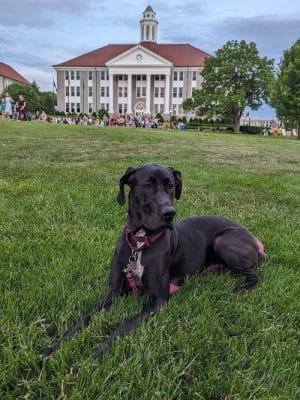 The Quad
