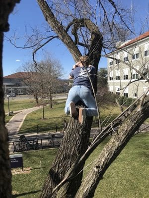 The Quad