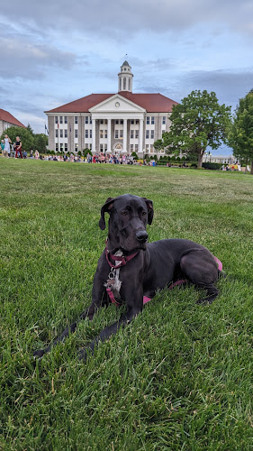 The Quad