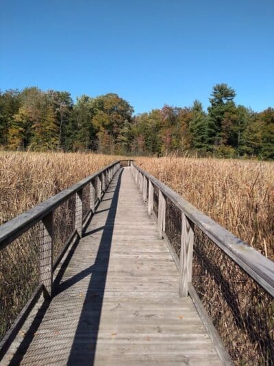 Gales Pond County Park - Hart,