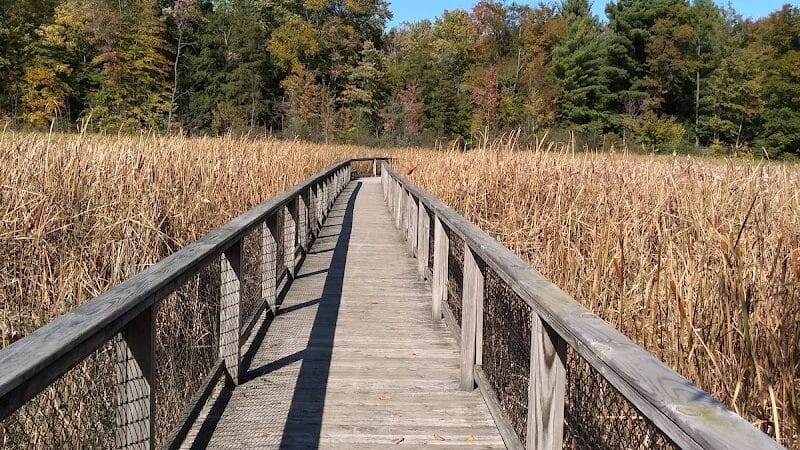 Gales Pond County Park - Hart,