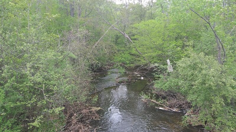 Gales Pond County Park - Hart,