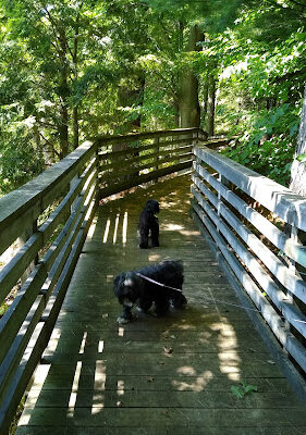 Gales Pond County Park