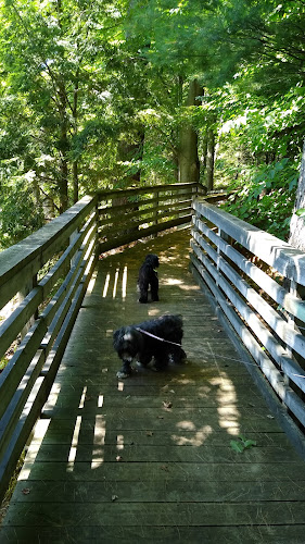 Gales Pond County Park
