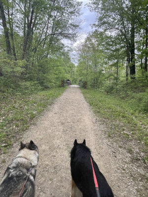 Van Buren Trail State Park