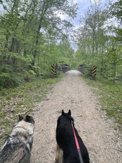 Van Buren Trail State Park - Hartford,