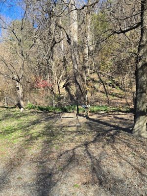 Watson Park