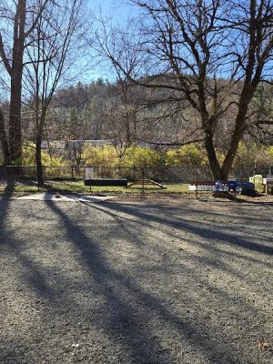 Watson Park
