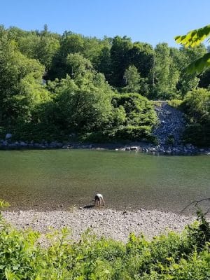Watson Park