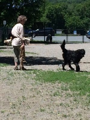 Watson Park