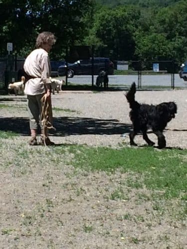 Watson Park