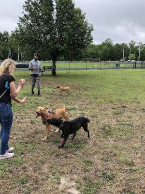 City of Hartsville Dog Park
