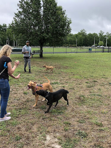 City of Hartsville Dog Park