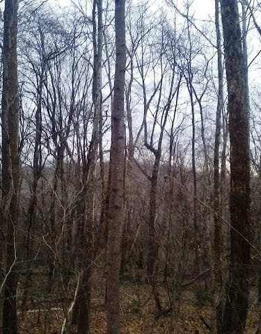 Sands Road Park