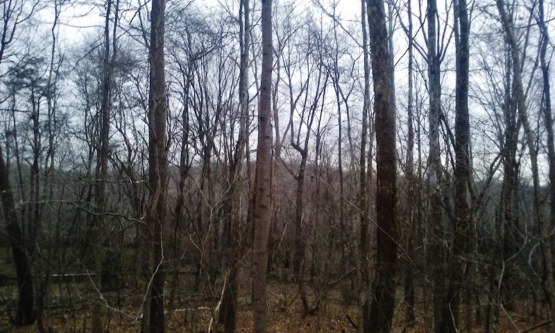 Sands Road Park - Harwood, MD