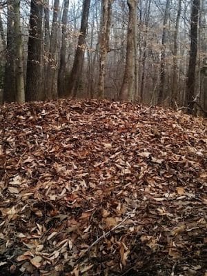 Sands Road Park