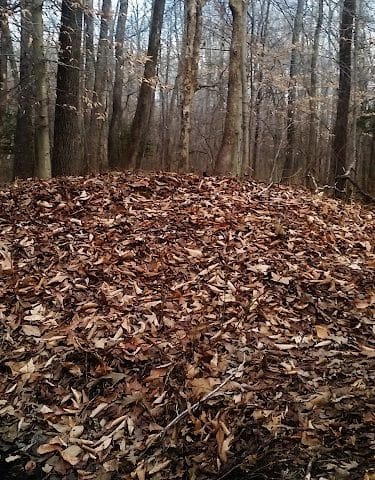 Sands Road Park