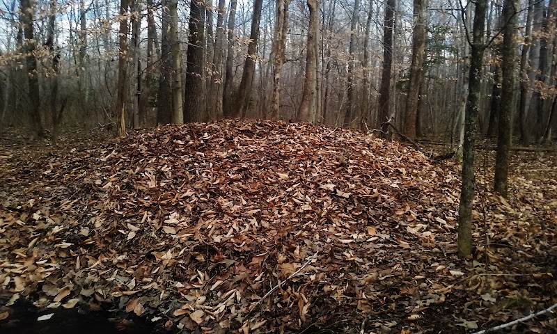 Sands Road Park - Harwood, MD