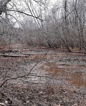 Sands Road Park