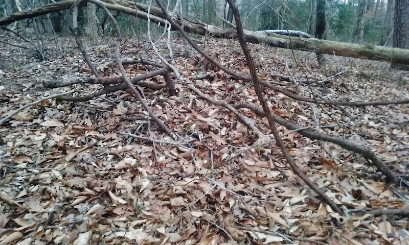 Sands Road Park - Harwood, MD