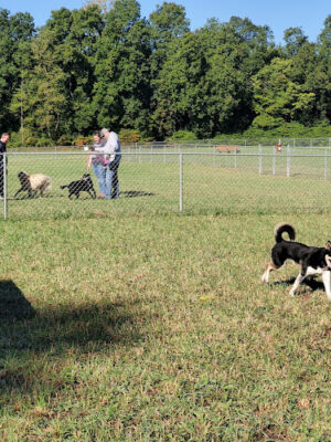 Barry County Veterans Memorial Dog Park