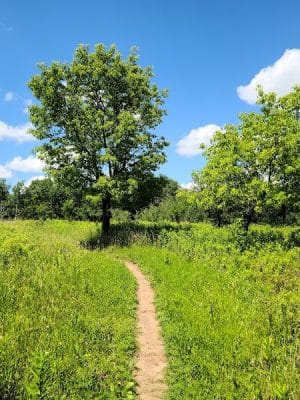 Afton State Park