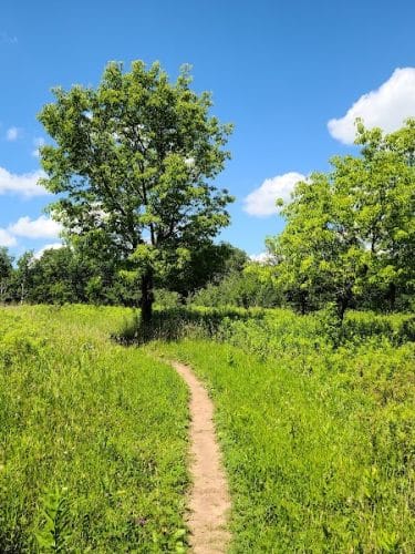 Afton State Park