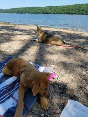 Afton State Park