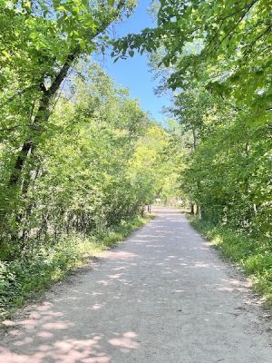 Afton State Park