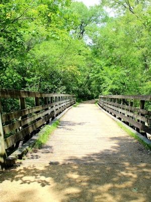 Afton State Park