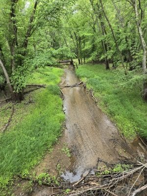 Afton State Park